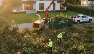 Professional shrub removal service clearing overgrown bushes in Bellevue, NE yard